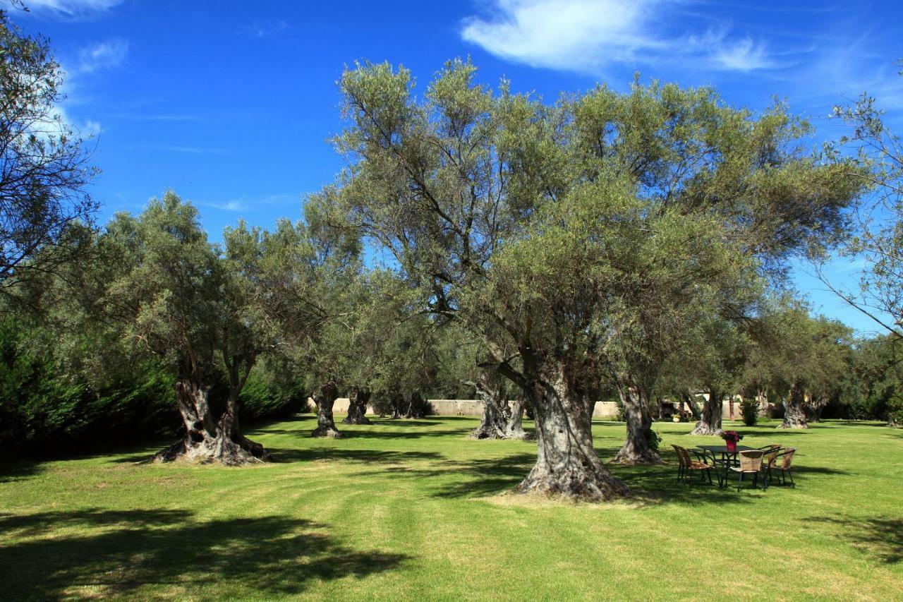 Olivastro Villa Lefkáda 외부 사진
